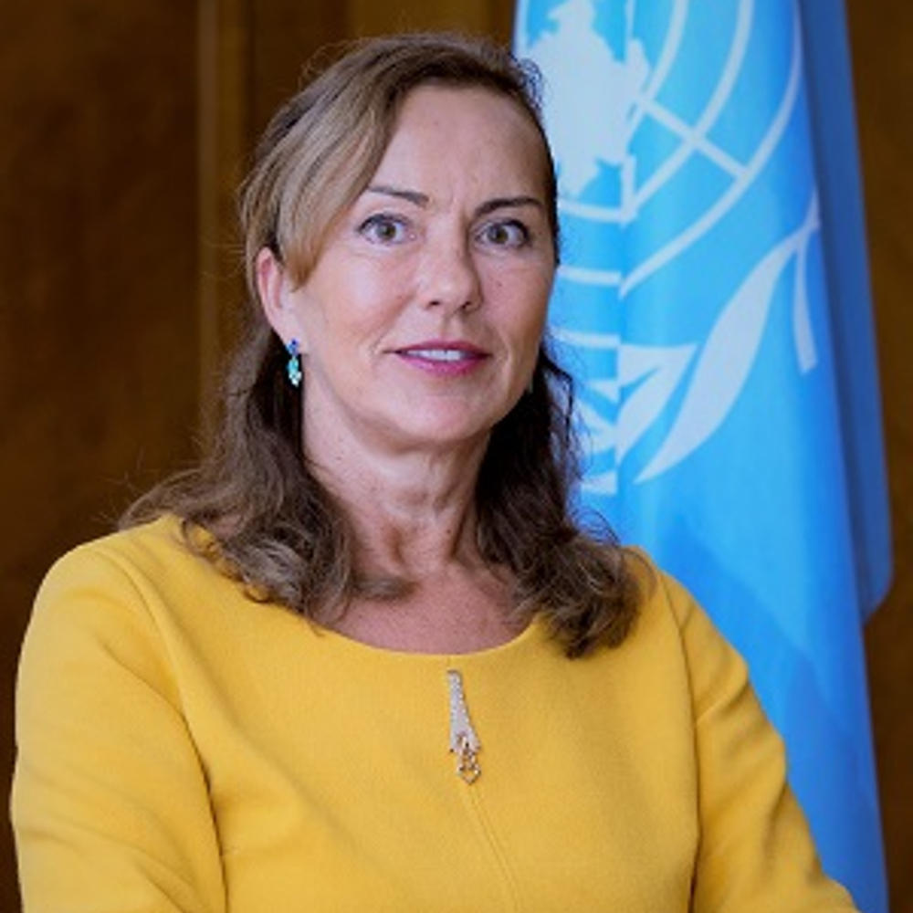 Европейская комиссия оон. Olga Algayerova. Исполнительный секретарь европейской экономической комиссии ООН. Секретарь Евросоюза.