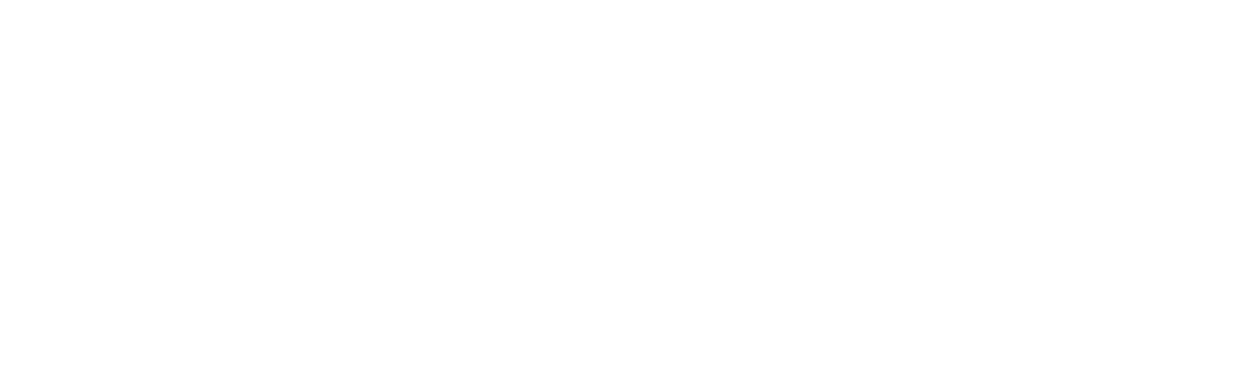 UNECE logo white